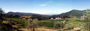 Frascole Dicomano